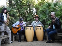 Evening of jazz and gin at Wylds Farm near Liss
