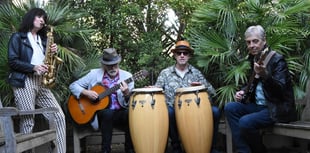Evening of jazz and gin at Wylds Farm near Liss