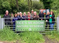 Tice's Meadow film is now an award-winning documentary