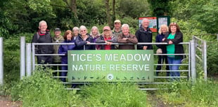 Tice's Meadow film is now an award-winning documentary