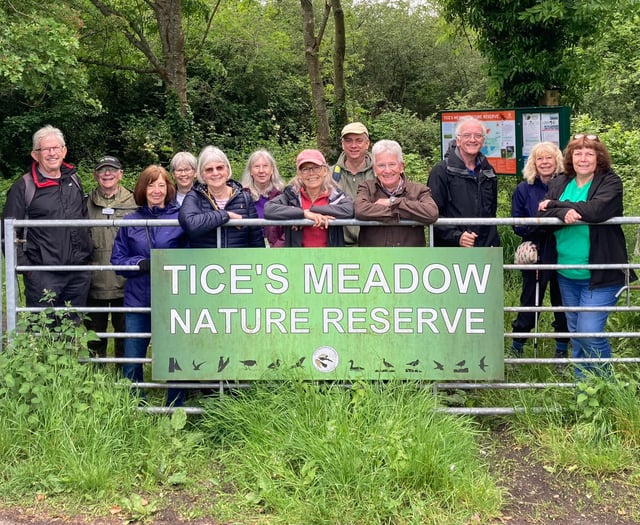Tice's Meadow film is now an award-winning documentary