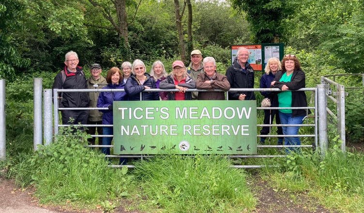 Tice's Meadow bird group walk, Farnham Walking Festival, June 2nd 2024.