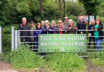 Success for Tice's Meadow documentary Our Meadow at European film festival