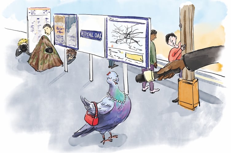 Stephanie's illustration of the Hammersmith & City line