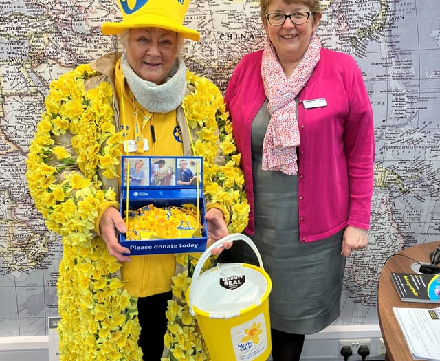 Daffodil volunteers raise thousands