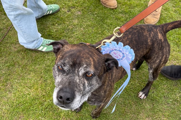 One of the lucky winners from the dog show 