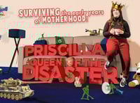 Show about surviving the early years of motherhood