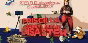 Show about surviving the early years of motherhood