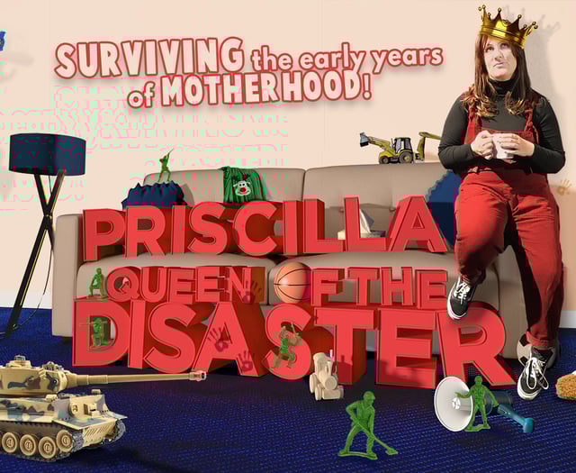 Show about surviving the early years of motherhood
