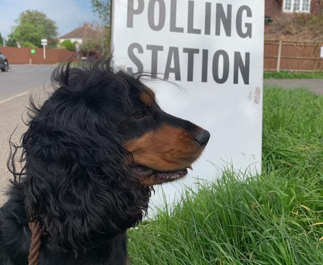 Surrey seats to watch in the election