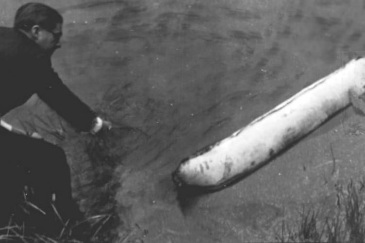 Robert Lochner tests the Lilo concept in a pond