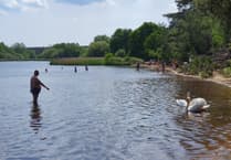 Correction: June is nature month: let’s do more to help our greatest asset