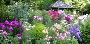 Do you have a secret garden that's worth showing off?