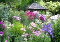 Do you have a secret garden that's worth showing off?