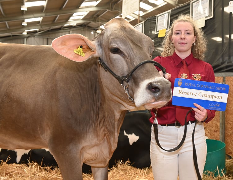 Shannon, of the Ley family of Holsworthy, is pictured with their Brown Swiss which won Reserve Champion in Any Other Dairy. The family also received two firsts and two seconds with their Holsteins. Shannon told us: "The family started farming with grandad, William Ley, but I believe Rowland Ley is now the show's longest standing exhibitor, having shown here for the past 35 years — we can't quite believe it!"