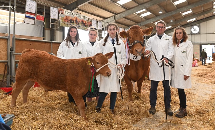 The Rowe family of Tregondale Farm, Menheniot — Imogen, Charisse, Alexis, Richard and Helen — came away with their arms full of rosettes as their South Devons impressed the judges. There was stiff competition in the ring with more than 50 of the breed to beat but the family were pleased to receive, among their wins, the Female Champion and Best of Breed. The family have had pedigree status since 1947 and Richard added: "There isn't a day gone by that we haven't been farming!"