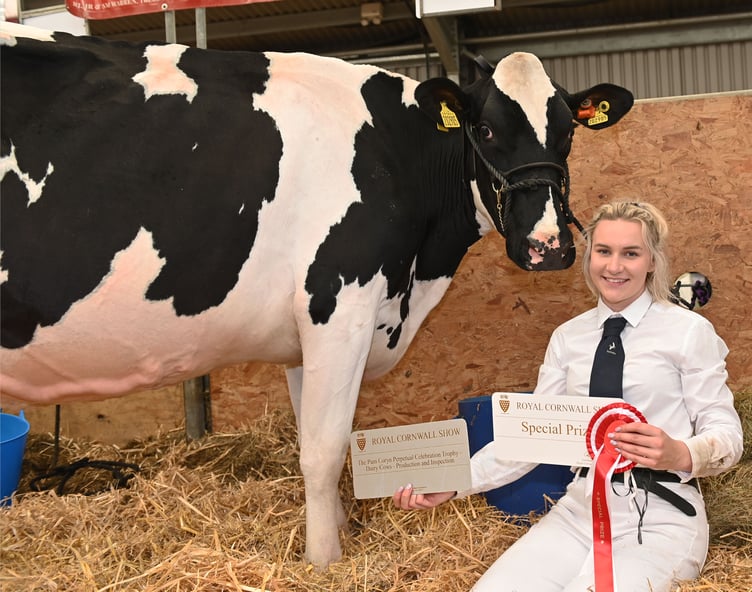 Friendships run deep in farming families and Tanwen Cox is no exception having travelled down from West Wales to help her friends James and Shelly Warren of St Buryan show their prize winning herd. Tanwen said: "We have always supported each other, it is just what you do in a farming community. James is lucky to have friends like us!" Adding: "They have a good herd though and this cow won Supreme Champion — despite being a bit cantankerous!"