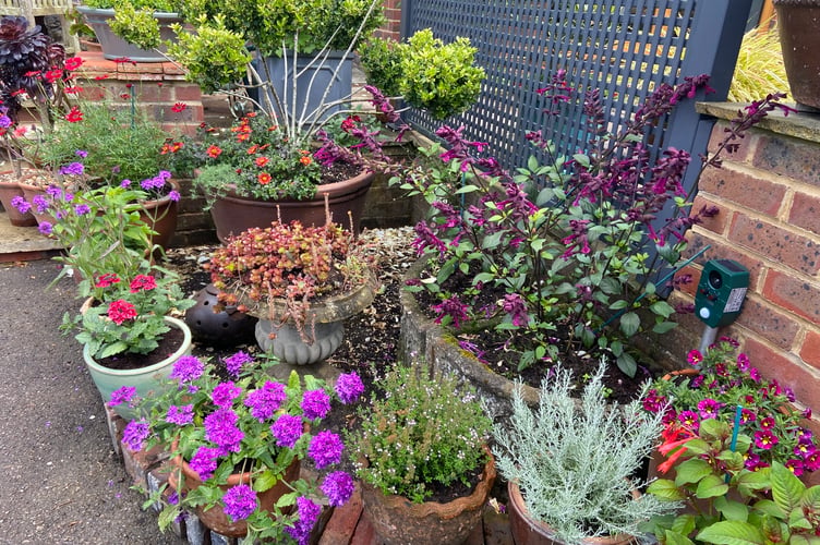 Local residents opened up their home gardens