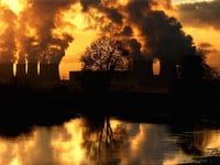 Air pollution causes one in 20 deaths in Waverley