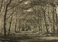 Get a new perspective on printing at the New Ashgate Gallery