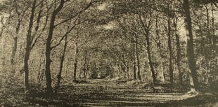 Get a new perspective on printing at the New Ashgate Gallery