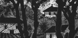 Exhibition of wood engravings by artist Kate Dicker