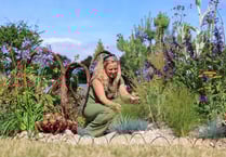 Students at Eden Project win prestigious gardening medals