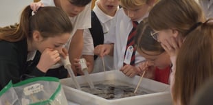 Pupils get an environmental lesson at ACAN conference
