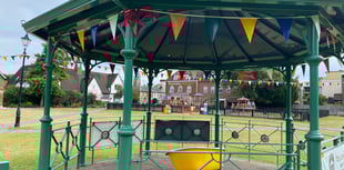 Blooming nuisance as vandals cause headache in town centre