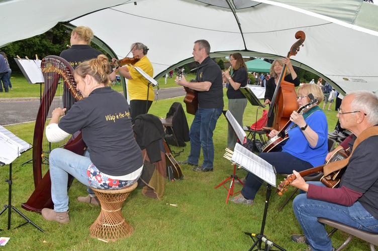 Wasp in the Apple performed at Holcombe Rogus Church Fete. PHOTO: Alain Lockyer.