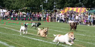 Fete and flower show at Bentley recreation ground on Saturday