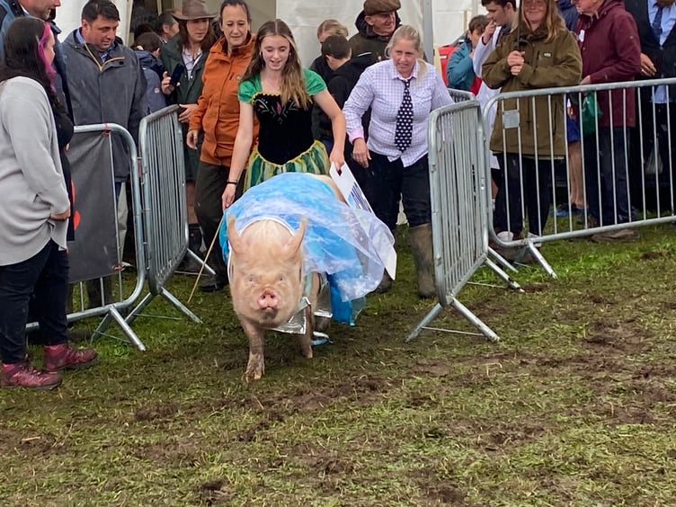 Elsa and Anna won the fancy dress pig class