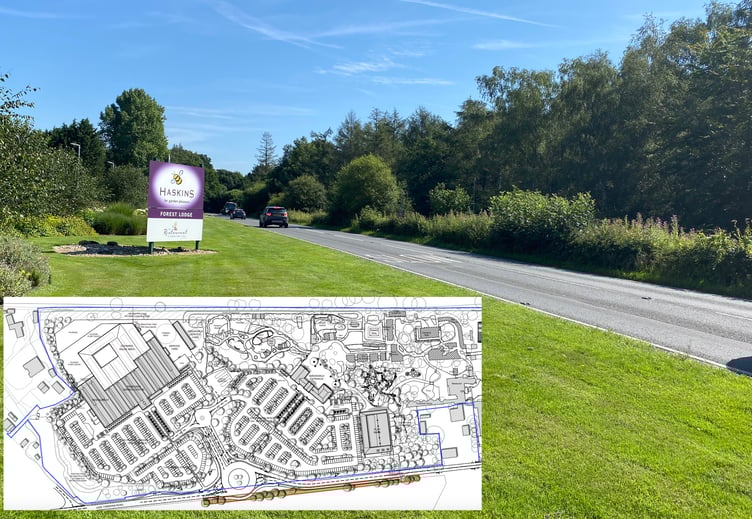 Birdworld A325 New Roundabout