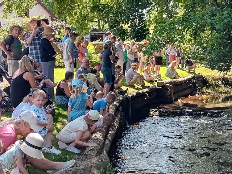 Enthusiasts of all ages lined the river to watch out for their entries in Fitzhead duck race. PHOTO: Sue Mitchison.