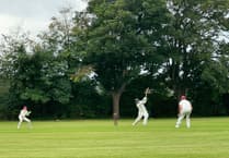 Petersfield beat Redlynch & Hale in Division Two of the Hampshire Cricket League