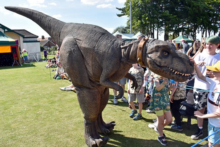Dinosaur petting was one of the highlights for young visitors to the Watchet Carnival Weekender fayre. PHOTO: Peter Mather.