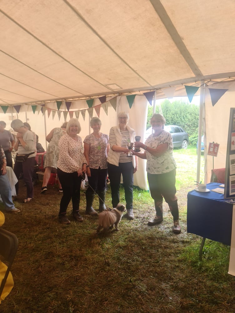 Best Corporate Display went to Lifton WI, pictured are team members Jill Halford, Lynda Garrad and Jane Bath (not pictured Susan Swanepoel)