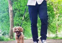 Hospice fundraising challenge is in a breed of its own