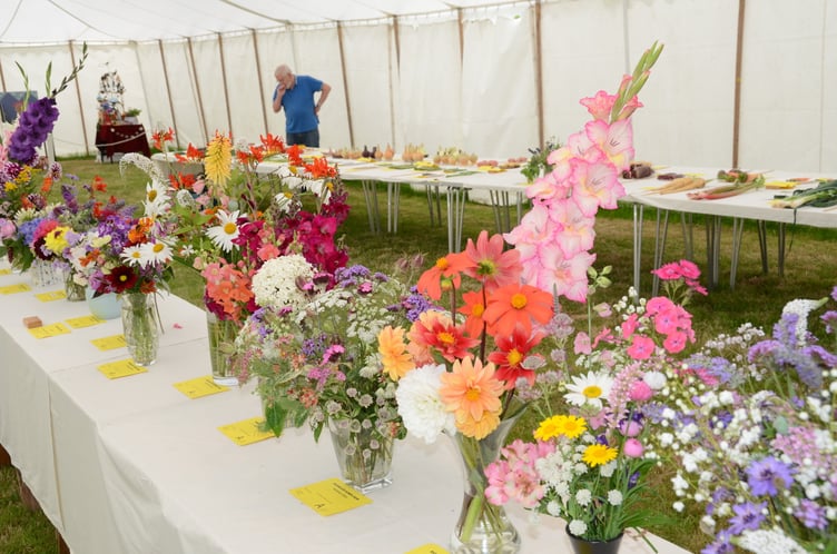 There were a staggering 16 entries for this flower class in Bicknoller's summer flower show.