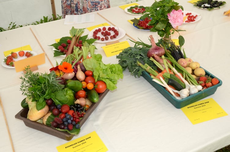 Kitchen garden entries in Bicknoller's summer flower show.