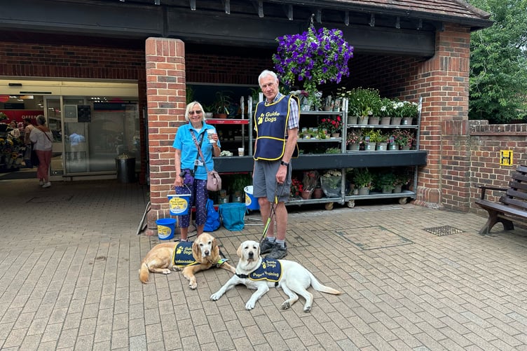 Guide dog collections outside Waitrose Farnham