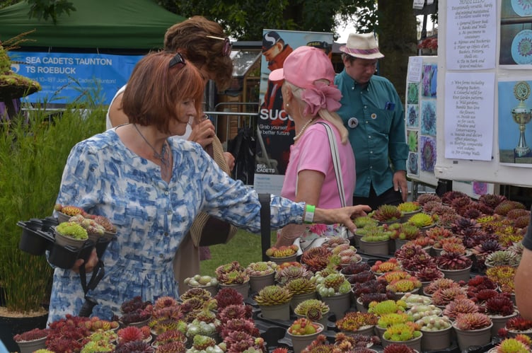 So much choice at Taunton Flower Show. PHOTO: Alain Lockyer.