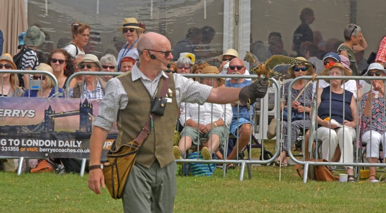A birds of prey show with K&H Falconry at Taunton Flower Show. PHOTO: Alain Lockyer.