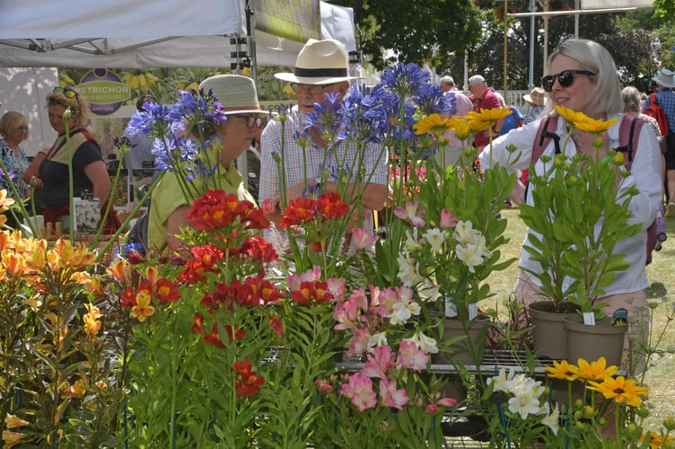 Admiring the blooms at Taunton Flower Show. PHOTO: Alain Lockyer.