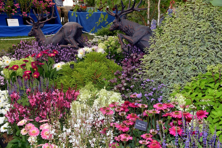 Amazing and colourful commercial displays filled marquees at Taunton Flower Show. PHOTO: Alain Lockyer.