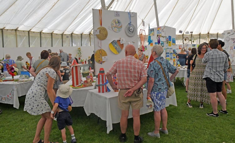 So much to see at Taunton Flower Show. PHOTO: Alain Lockyer.