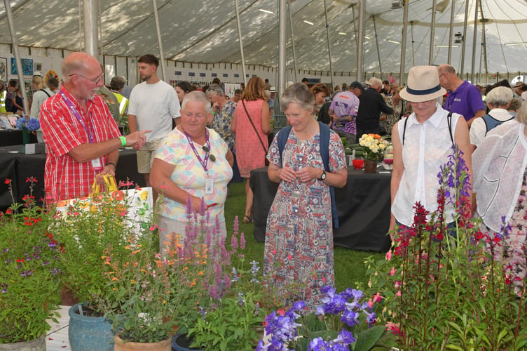 There was so much to admire at Taunton Flower Show. PHOTO: Alain Lockyer.