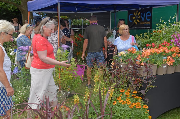 Floral delights at every turn for visitors to Taunton Flower Show. PHOTO: Alain Lockyer.