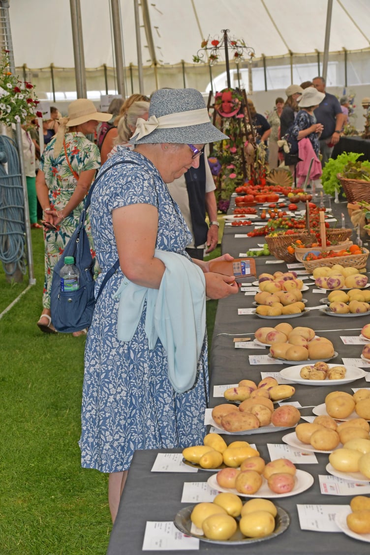 Produce entries tempt visitors to Taunton Flower Show. PHOTO: Alain Lockyer.