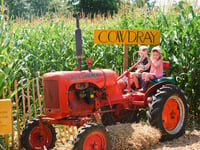 Cowdray’s Maize Maze: A must-visit summer attraction